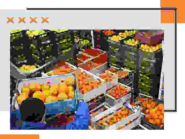 Перевозка скоропортящихся продуктов в Мелеузе